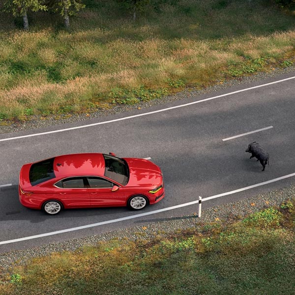 01_Superb_Crew-Protect-Assist